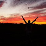 Profile Picture of Eva Hodges (@evahodges) on Instagram