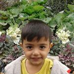 Profile Picture of reza.gorji.1972 (@reza.gorji.1972) on Instagram