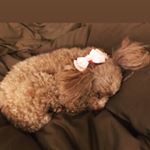 Profile Picture of cohart (@coheart2) on Instagram