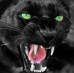 Profile Picture of Deb Shacklette (@Deb-Shacklette) on Facebook