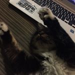 Profile Picture of Heather Riling (@heatherriling) on Instagram