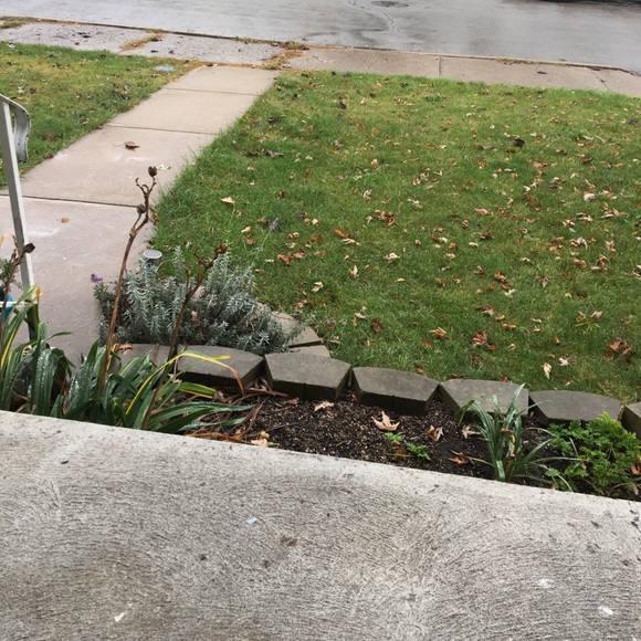 Profile Picture of Larone Knight (@lknight1982) on Poshmark