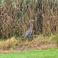 Profile Picture of Nathan Mccallum (@nathan-mccallum-14) on Quora