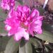 Profile Picture of Hubert Geelen (@geelen3010) on Pinterest