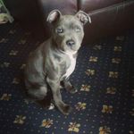 Michael Billett - Instagram Profile Picture of Michael Billett (@billett.michael) on Instagram