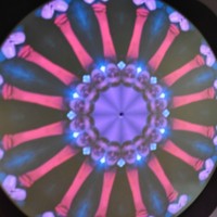 Profile Picture of Carl Collins (@carl-collins-39) on Quora