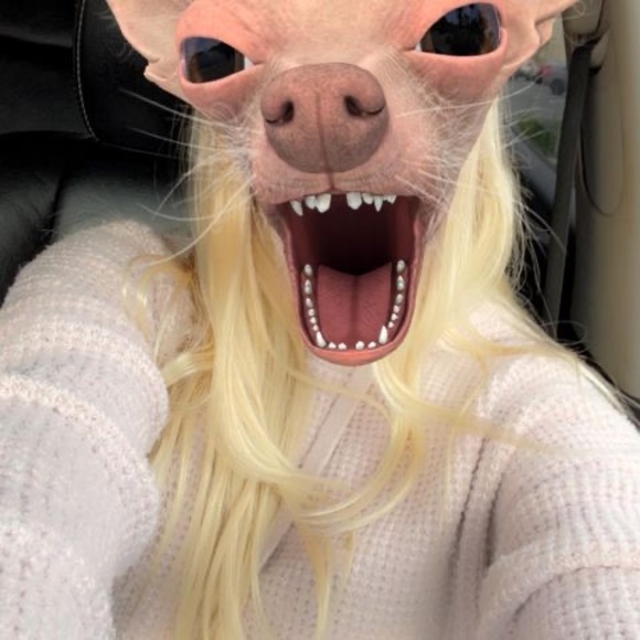 Profile Picture of Brianna Willsey (@briannawillsey) on Poshmark