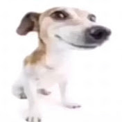 Profile Picture of Liam Baldwin (@liambaldwin3223) on Youtube