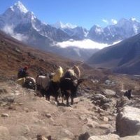 Profile Picture of Roy Roberts (@roy-roberts-14) on Quora