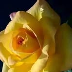 Profile Picture of Kathy Siragusa (@Kathy-Siragusa) on Facebook