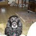 Profile Picture of Jim Rusk (@jimr0191) on Pinterest