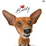Zeke - Instagram Profile Picture of Zeke (@buddy_the_minpin) on Instagram