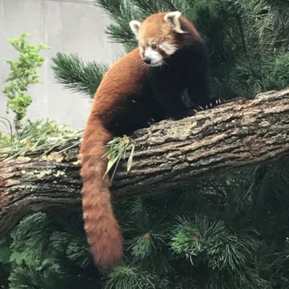 Profile Picture of Quinn Blair (@quinn522) on Poshmark