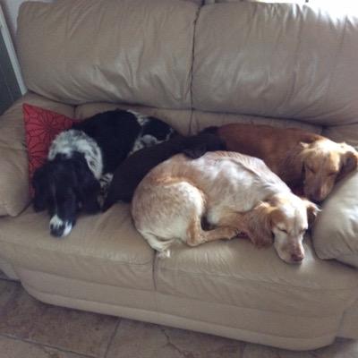 Profile Picture of Martin Hird (@hird_martin) on Twitter