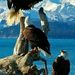 Profile Picture of Tony Glover (@tonyglover) on Pinterest