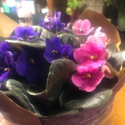 Profile Picture of Marie (@HeatherWalden7) on Twitter