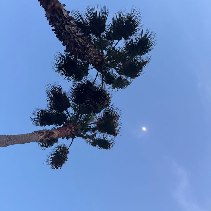 Profile Picture of Ruben Stein (@rubenstein1) on Tiktok