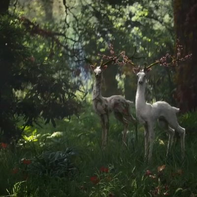 Profile Picture of Jo Jean (@Jojean26484745) on Twitter