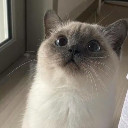 Profile Picture of StewartSharp (@cathergmq9m) on Tiktok