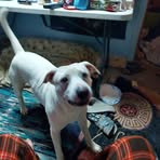 Michael Hosey - Facebook Profile Picture of Michael Hosey (@Michael-Hosey) on Facebook