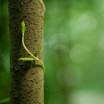 Profile Picture of Chris (@WottonGray) on Twitter