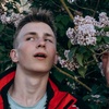 Profile Picture of Andrew Bolt (@andrewbolt) on Tiktok