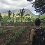 Profile Picture of Deanna Kristine (@deannaschell) on Instagram