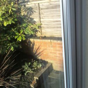 Profile Picture of Mandy Brookes (@brookes792) on Twitter