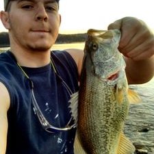 Profile Picture of Joe Kamp (@LetsAllGoKampin) on Twitter