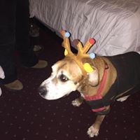 Profile Picture of Craig La Tulip (@craig-la-tulip) on Quora