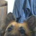 Profile Picture of Lucy Deering (@lucy.deering1) on Facebook