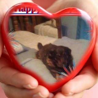 Profile Picture of Vivian Stalls (@vivianstalls) on Instagram