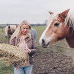 Profile Picture of Donna Case Equine Nutritionist (@thehorsefeedguru) on Instagram