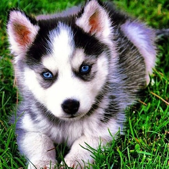 Profile Picture of Matt Derise (@mderise24) on Poshmark