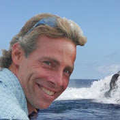 Profile Picture of Jeff Graves (@mauisbestbuy) on Youtube