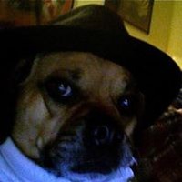 Profile Picture of Ben Schwartz (@ben-schwartz-47) on Quora