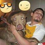 Profile Picture of Raymond gray (@readyrayray) on Instagram