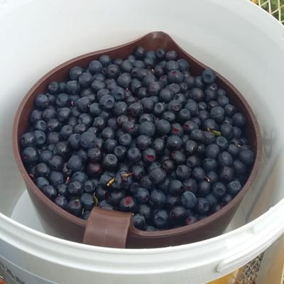 Profile Picture of ViktorWillis (@ViktorWillis) on Twitter