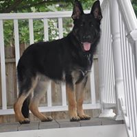 Profile Picture of Barbara Lafferty (@babs4092340) on Pinterest