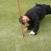 Profile Picture of Brian Luckner (@brian.luckner) on Facebook
