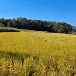 Profile Picture of Connor Marjorie (@Connor-Marjorie) on Facebook