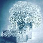 Profile Picture of lucyxiong (@lucy._.21406) on Instagram