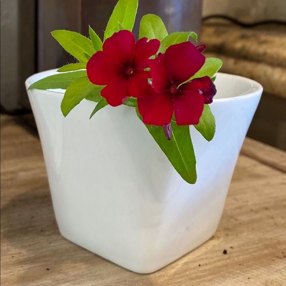 Profile Picture of Denise Chustz (@birdwatcher132) on Poshmark