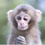 Profile Picture of Dinesh Shetty (@sober_dinesh) on Instagram