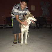 Profile Picture of Jose Limon (@joselimon8285) on Youtube