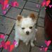 Profile Picture of Kathy Stefchak (@kathy.stefchak) on Facebook