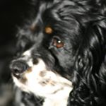 Profile Picture of Bobbie L beard (@bobbiebeard55) on Instagram