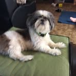 Profile Picture of Cheryl Kennison (@cheryl.kennison.5) on Facebook