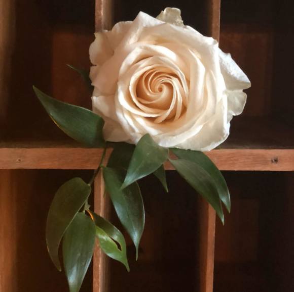 Profile Picture of Jessica Paterson (@jessicapater273) on Poshmark