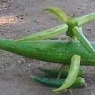 Profile Picture of Bbic Bbic (@bbic.bbic) on Facebook